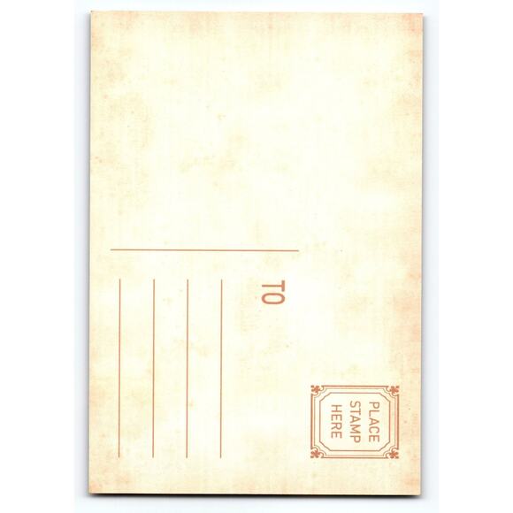 Vintage Halloween Pumpkin & Bat Photochrome Postcard 5.5x4 Chrome - Picture 2 of 2